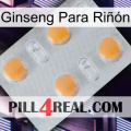 Ginseng Para Riñón 24